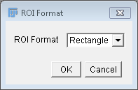 ROI Format panel