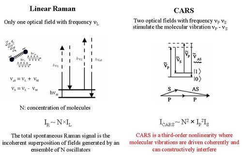 Coherent Anti-Stokes Raman Scattering